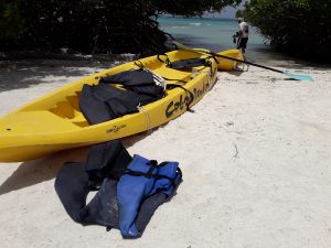 Aruba Kayak Adventure tour experience.