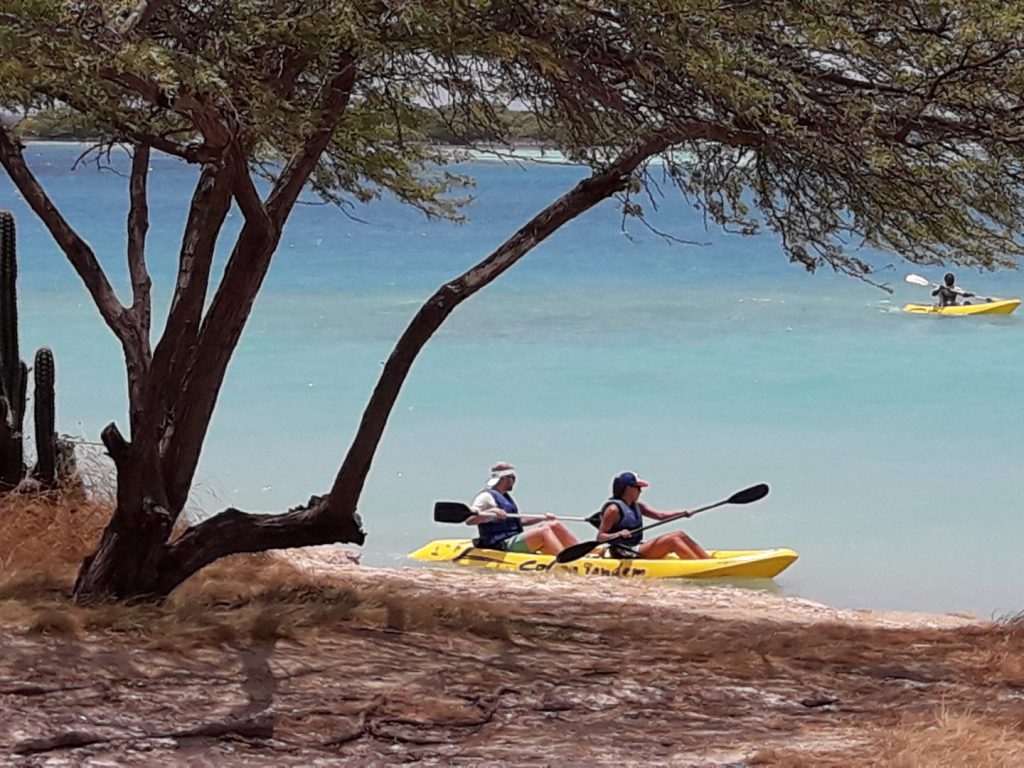 Aruba Kayak Adventure guests enjoying their kayak tour.