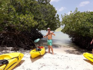 mangrove, kayaking, kayak, beach, arubawavedancer, aruba kayak adventure