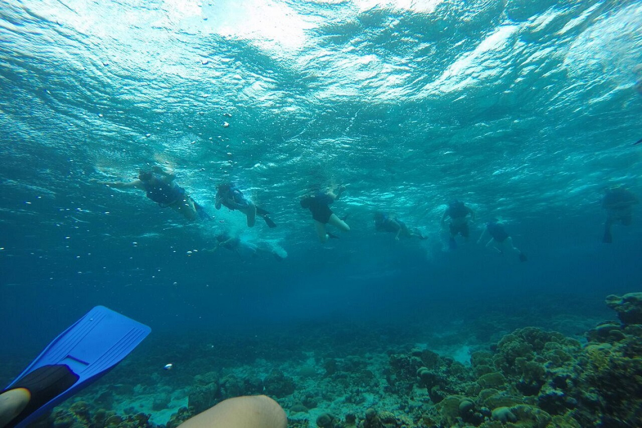 Snorkeling & Kayak Tour activity