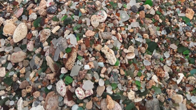 Aruba-Sea-Glass-Island-Kayak-Afternoon-Tour10