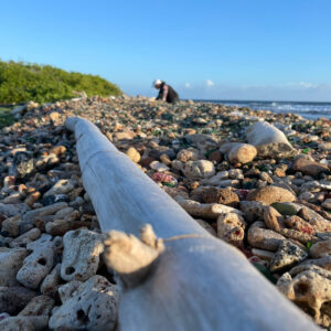 sea Glass island Tour Morning Adventure Aruba
