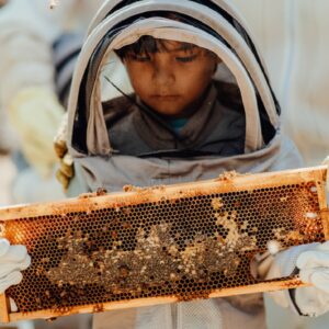 The Cunucu Bee Adventure
