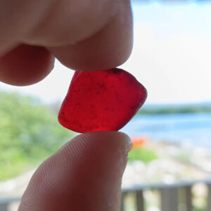 Morning - Sea Glass Island Kayak Tour Adventure Aruba