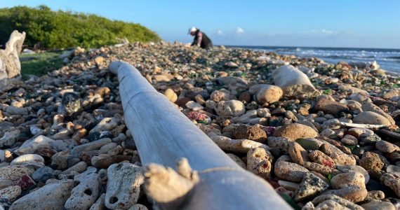 sea Glass island Tour Morning Adventure Aruba